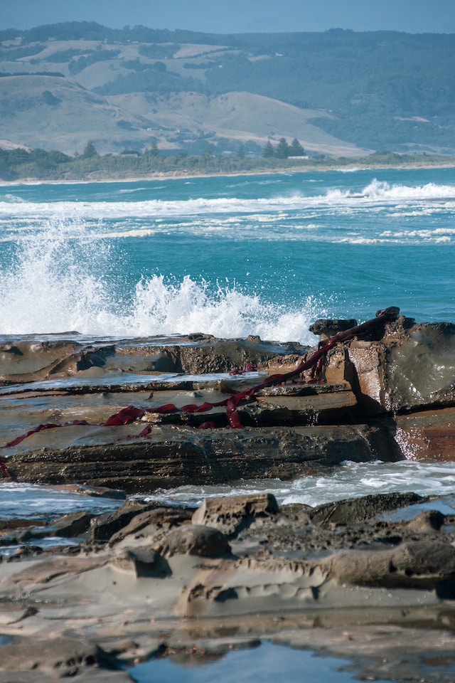 apollo bay