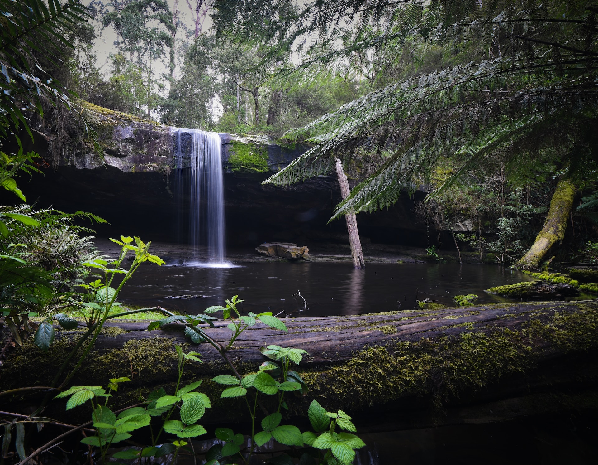 Chasing Waterfalls: A Guide to Visiting the Majestic Erskine Falls ...